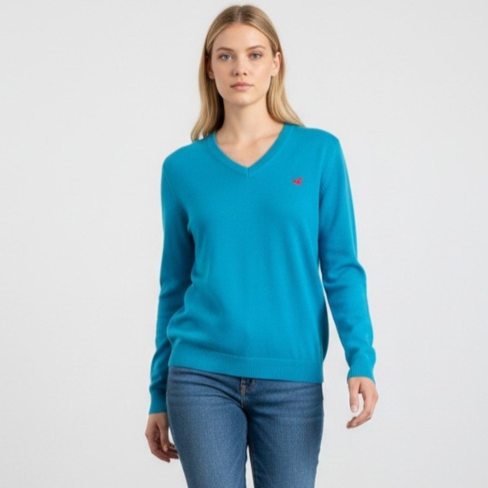 Hollister Womens V-Neck Sweater Teal Blue Long Sleeve Red Seagull Logo Size M